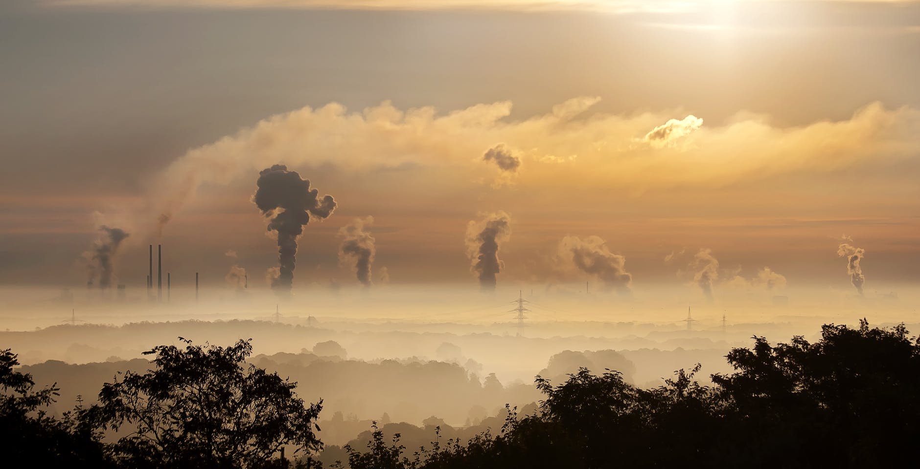 AI Ethics Beyond Bias: Why Carbon Footprints Matter